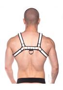 Prowler Red Bull Harness - Small - Black/white